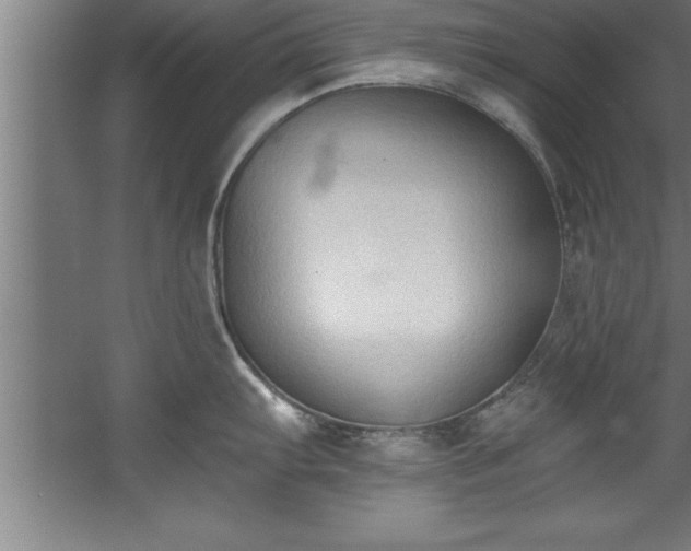 X0000060561103200511070941