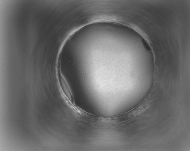 X0000060561104200511070941