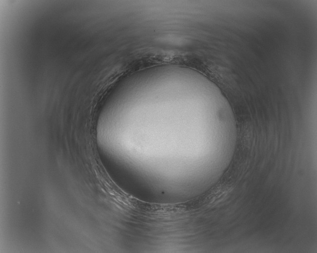 X0000060561105200511070940