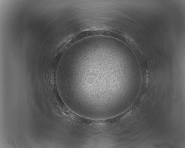 X0000060561110200511070940