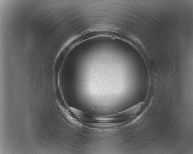 X0000060561114200511070940