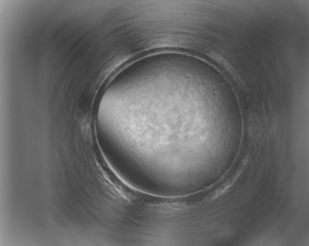 X0000060561121200511070940