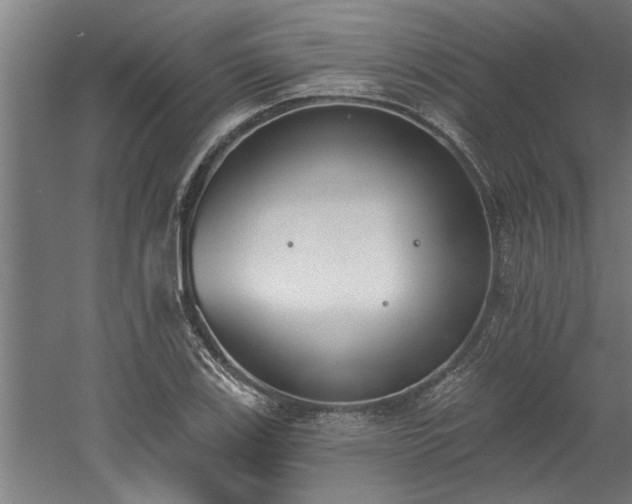 X0000060561123200511070940