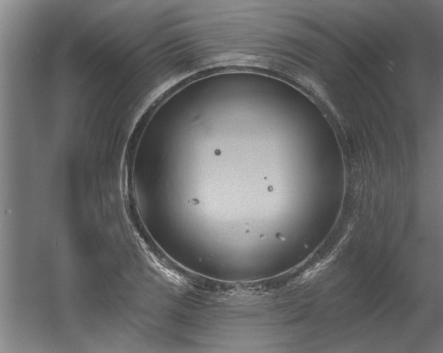 X0000060561125200511070940