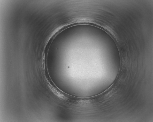 X0000060561126200511070940