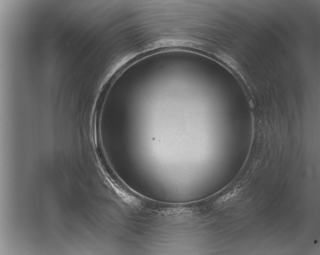 X0000060561127200511070940