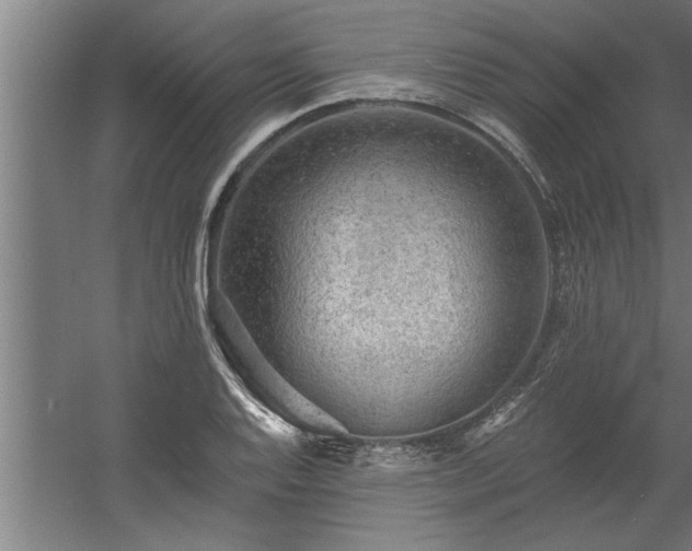 X0000060561128200511070940