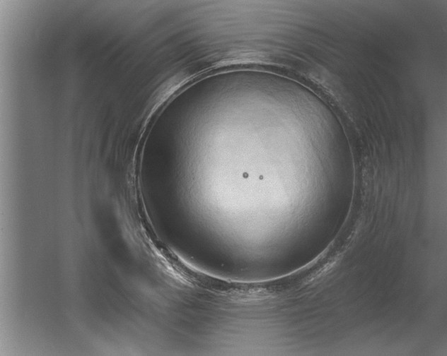 X0000060561129200511070940