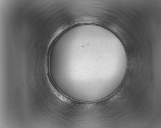 X0000060561130200511070940