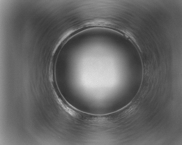 X0000060561131200511070940