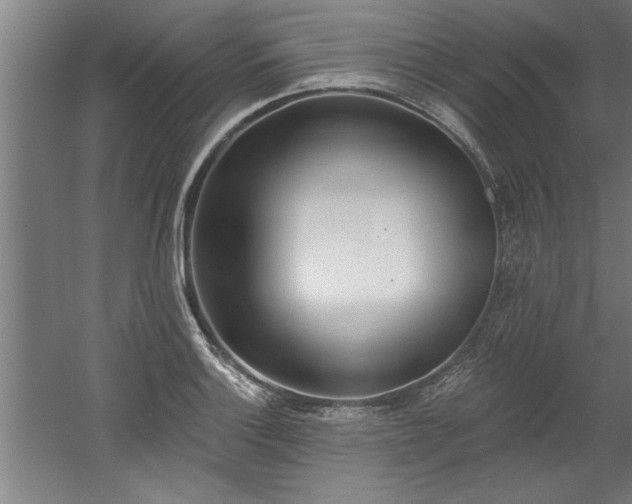 X0000060561132200511070940