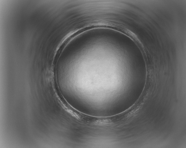 X0000060561133200511070941