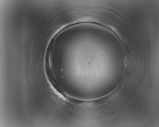 X0000060561134200511070941