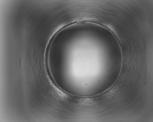 X0000060561135200511070941