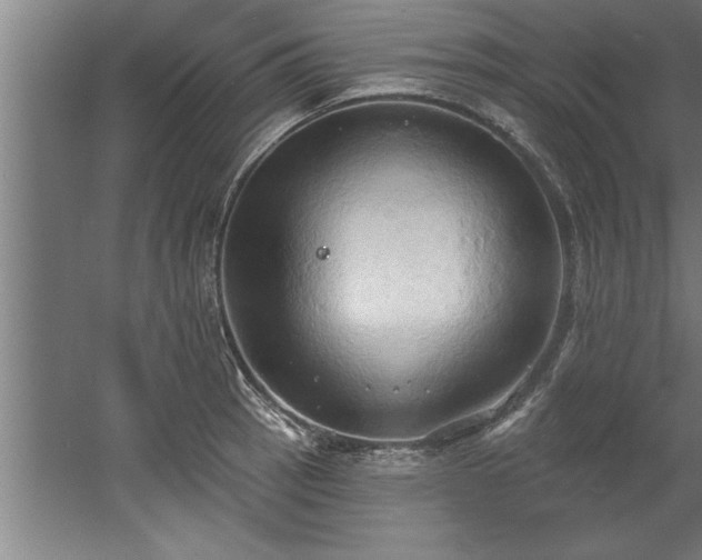 X0000060561137200511070941