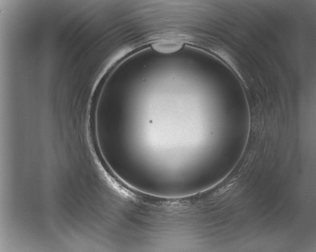 X0000060561139200511070941