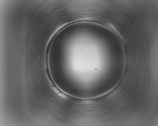 X0000060561140200511070941