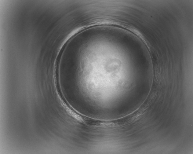 X0000060561142200511070941