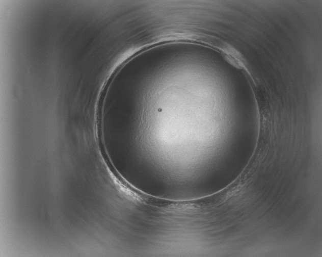 X0000060561143200511070941