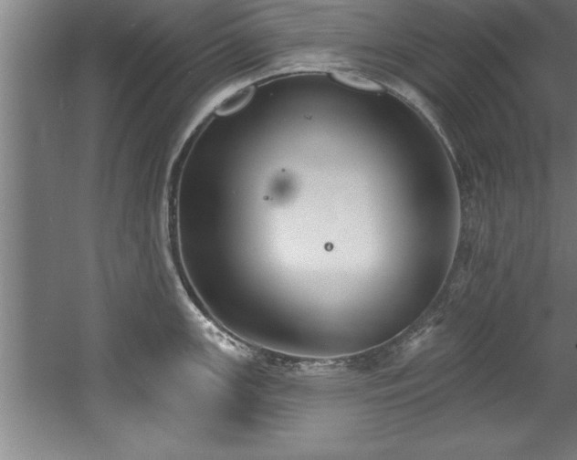 X0000060561147200511070941