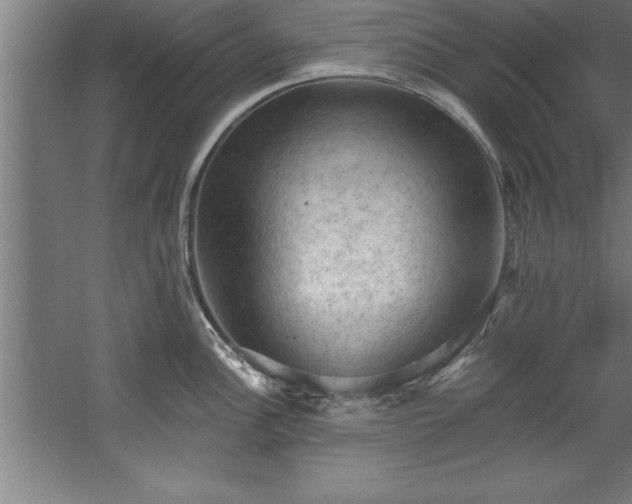 X0000060561148200511070941