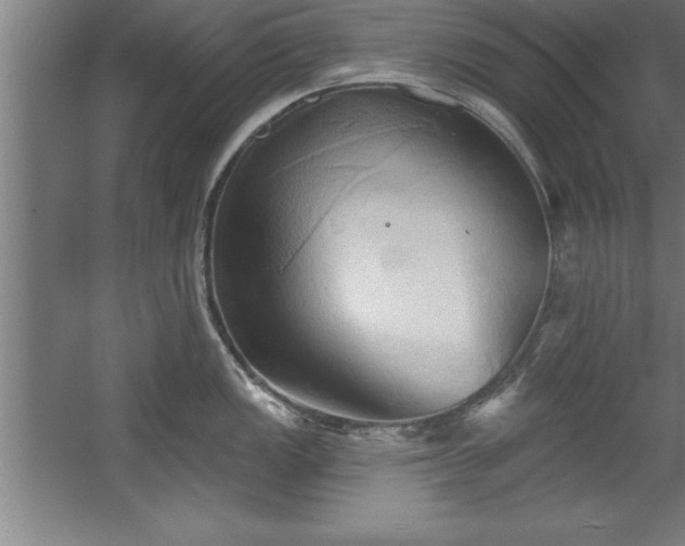 X0000060561149200511070941