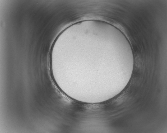 X0000060561150200511070941