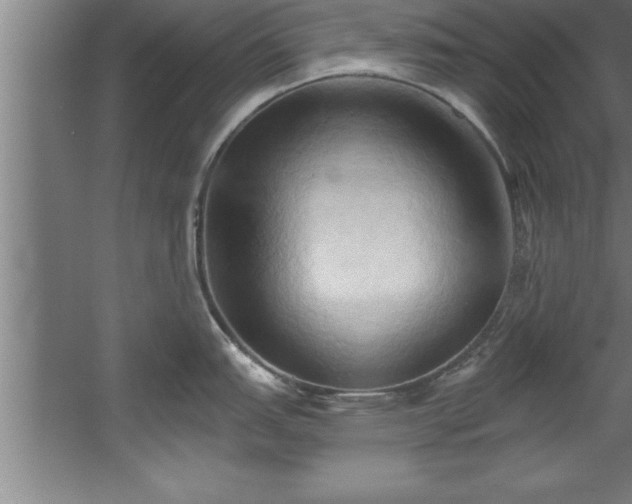 X0000060561151200511070941