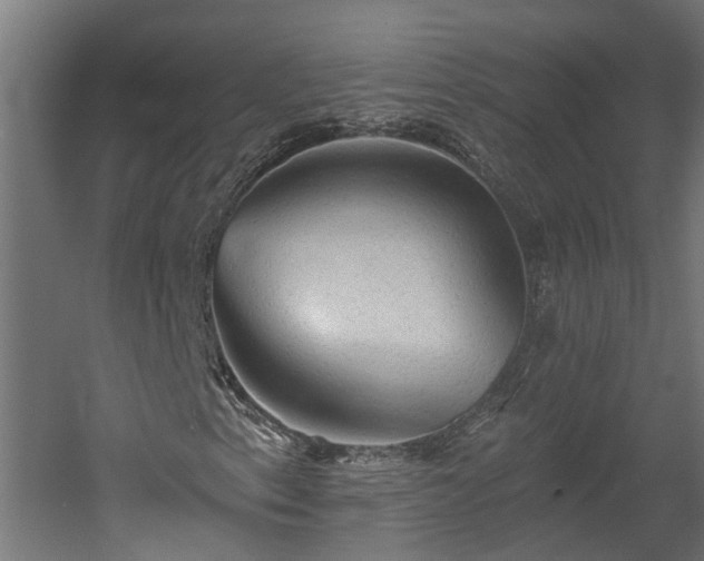 X0000060561153200511070940