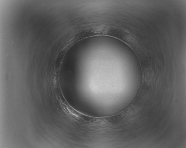 X0000060561154200511070940