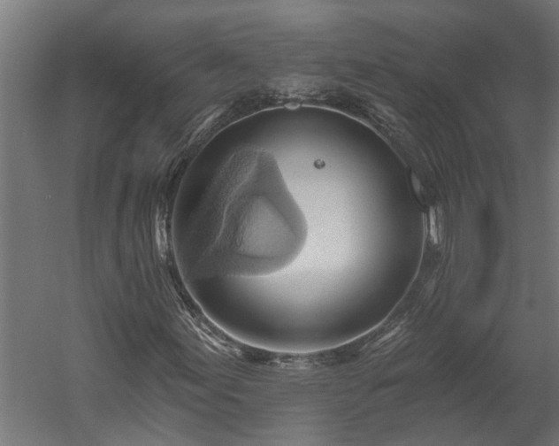 X0000060561155200511070940