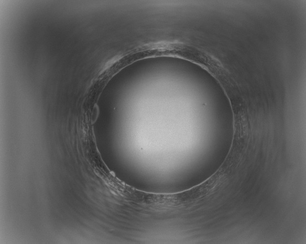 X0000060561158200511070940