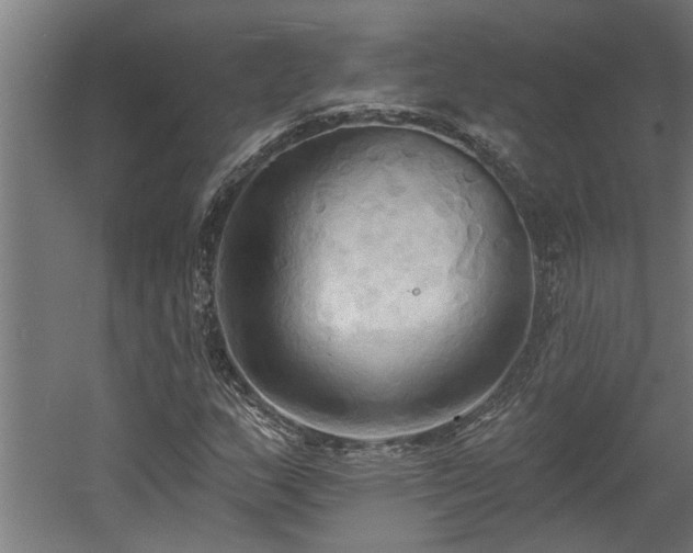 X0000060561159200511070940