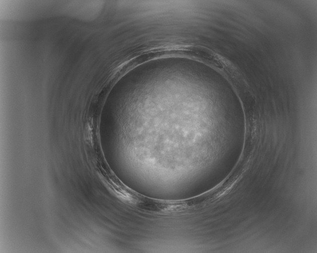 X0000060561161200511070940