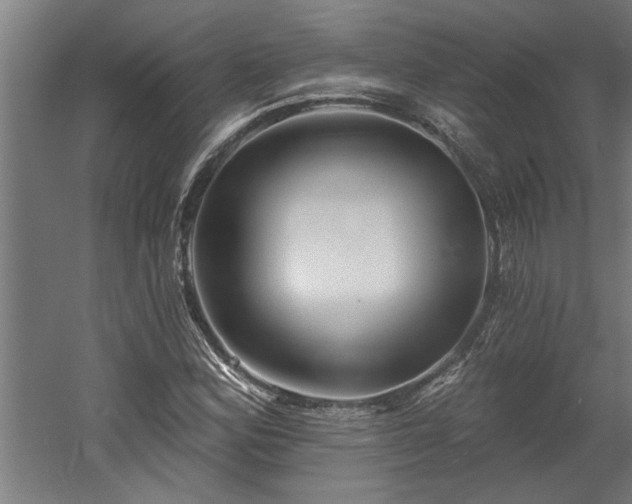 X0000060561164200511070940