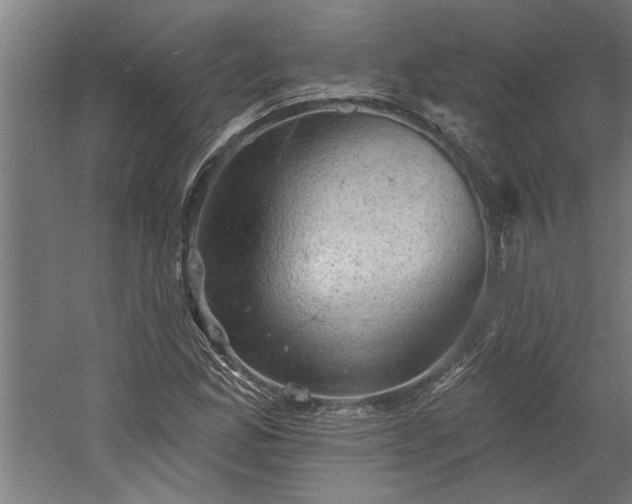 X0000060561165200511070940