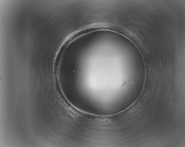 X0000060561168200511070940