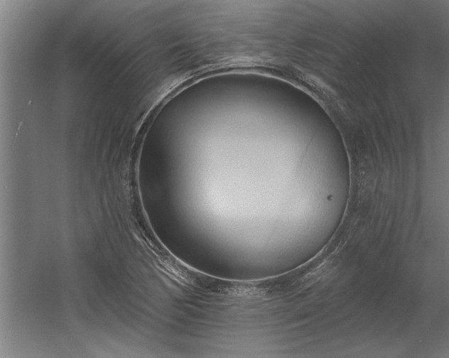 X0000060561170200511070940