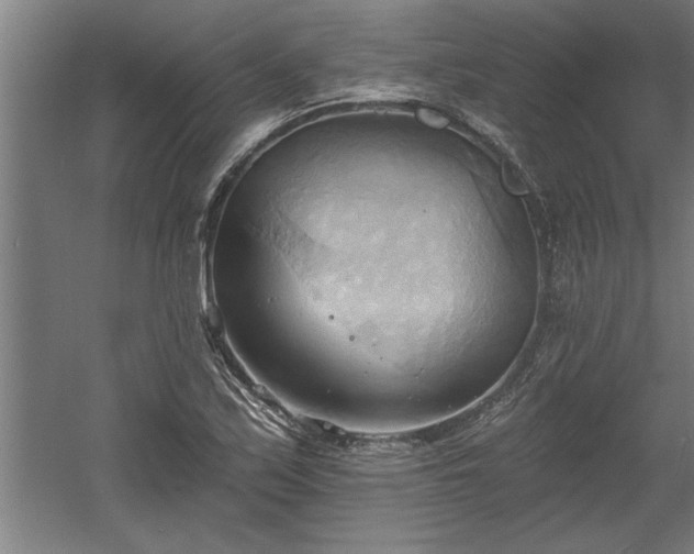 X0000060561171200511070940