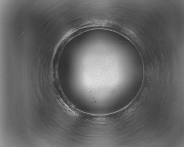 X0000060561172200511070940