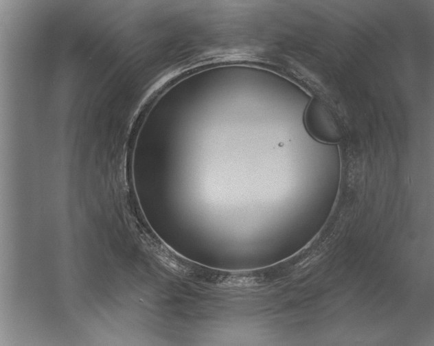 X0000060561174200511070940