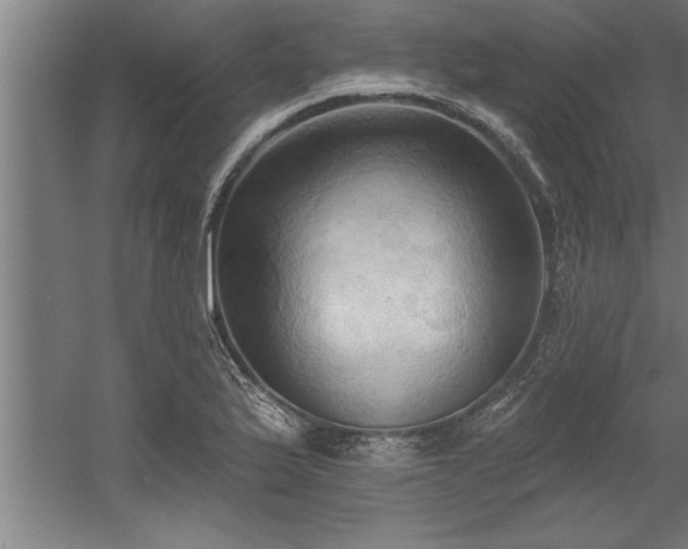 X0000060561175200511070940