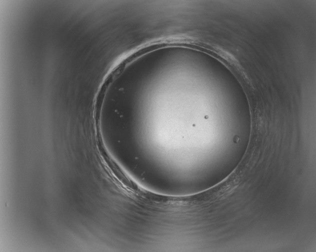 X0000060561176200511070940