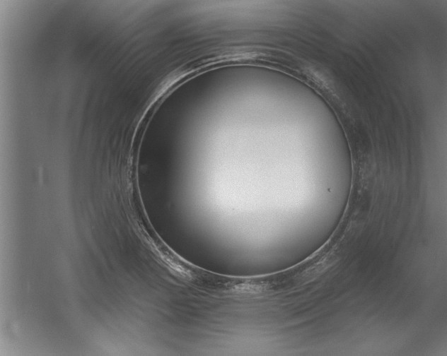 X0000060561178200511070940