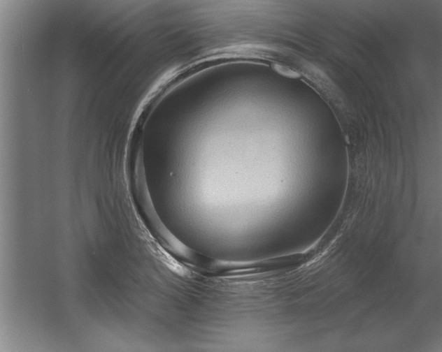 X0000060561180200511070940