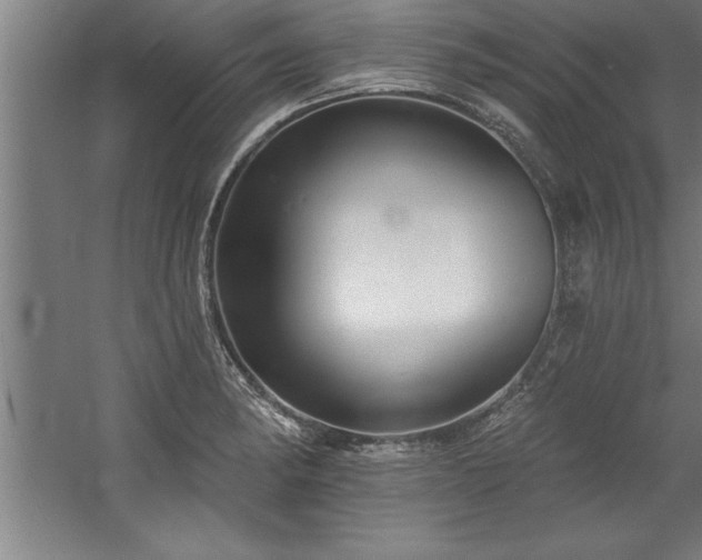 X0000060561182200511070939