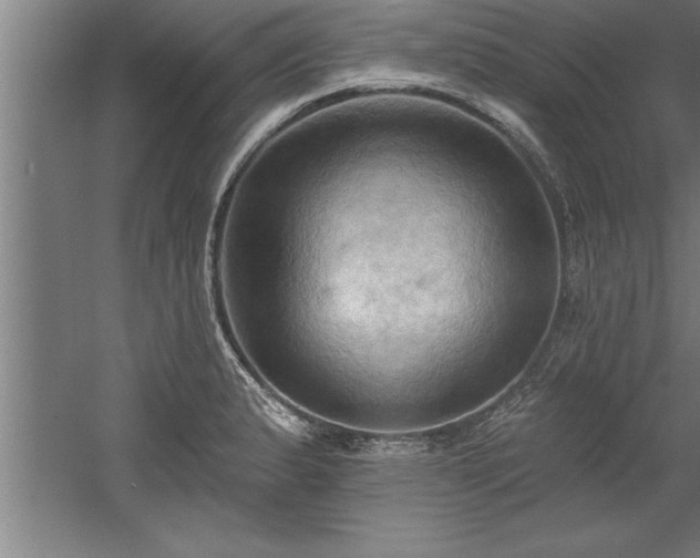 X0000060561183200511070939