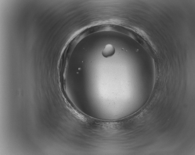 X0000060561184200511070939