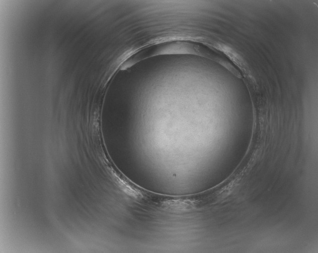 X0000060561185200511070939