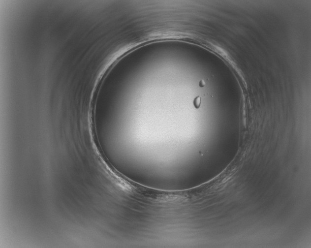 X0000060561187200511070939